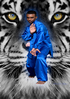 A tiger