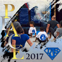 2017 Martial Arts