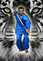 A tiger